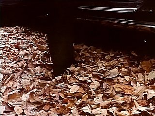 Обнаженные ароматы (1985, США, 35 -миллиметровый фильм, Тайджа Рей, DVD Rip)